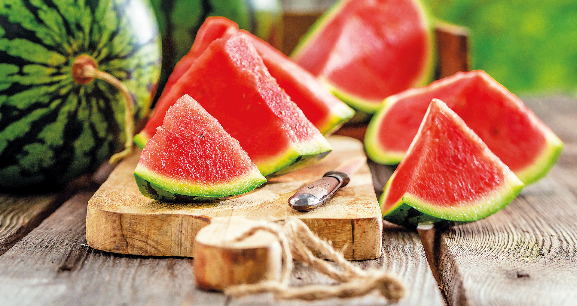 Lattella Wassermelone Header